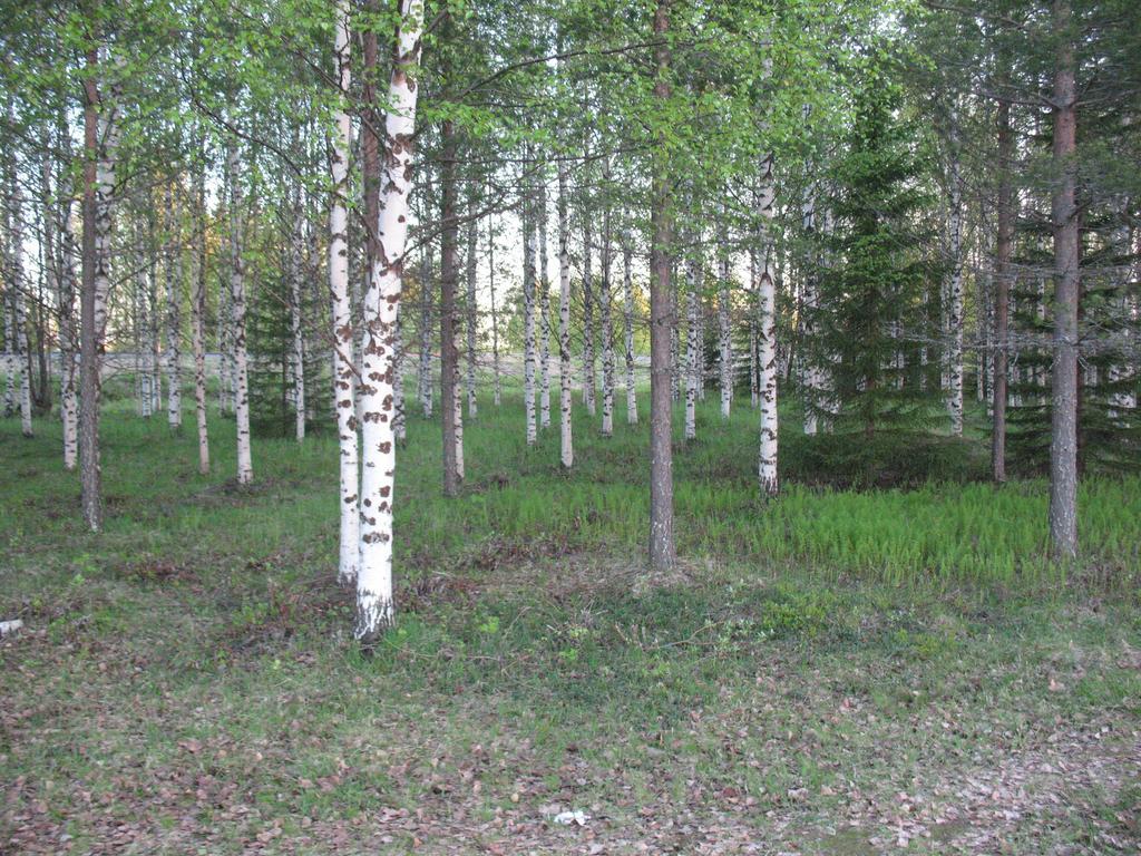 克密加维酒店 Kemijärvi 外观 照片